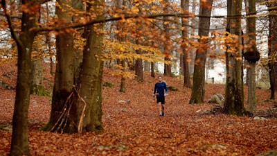 Let\'s Get Moving #2: Walking