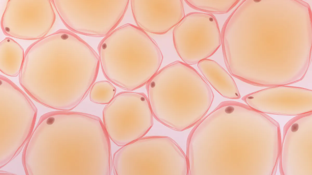 Study: Low carb better for shrinking fat cells and improving insulin resistance