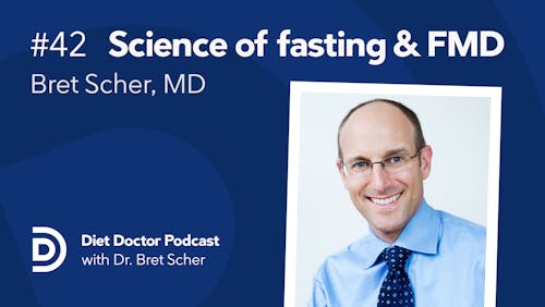 Diet Doctor Podcast #42 with Bret Scher