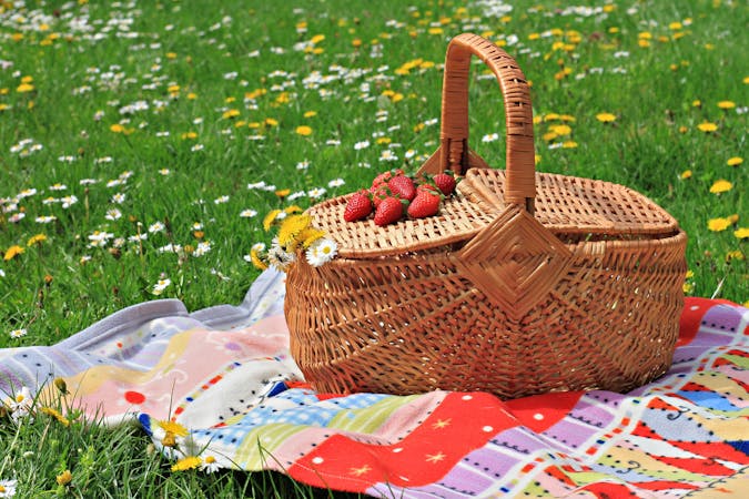 Picnic basket and blanket on green grass in park, nature.