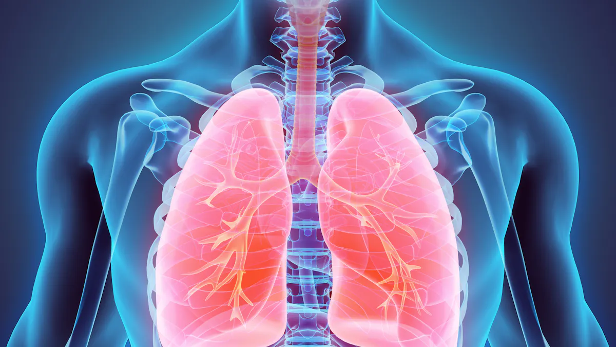 Scientific assessment of contraindications to a keto diet