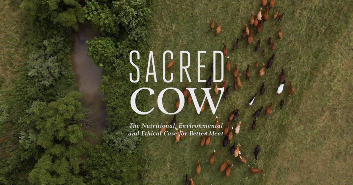 Sacred Cow review: a bold, transparent look at the case for better meat