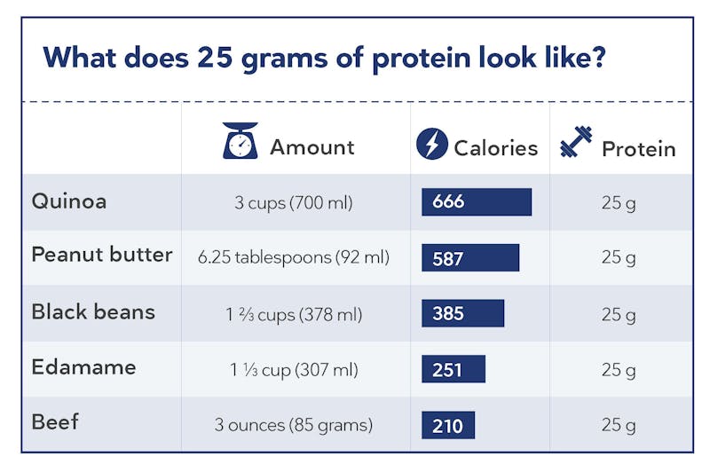protein and calories from animal and plant foods