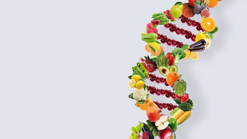 Nutrigenetics concept DNA strand made with healthy fresh vegetables and fruits