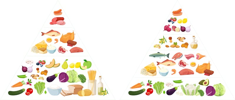 Food Pyramid