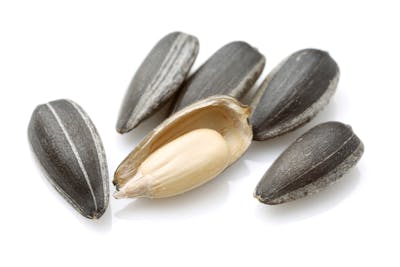 sunflower seeds