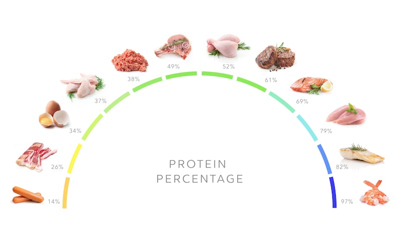 The best meat, seafood & eggs for weight loss