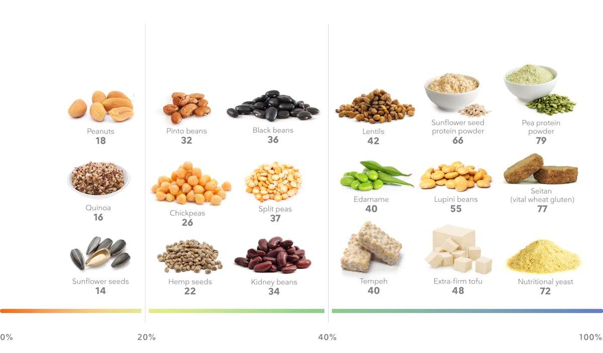 Visual_Desktop – Plant protein foods-3