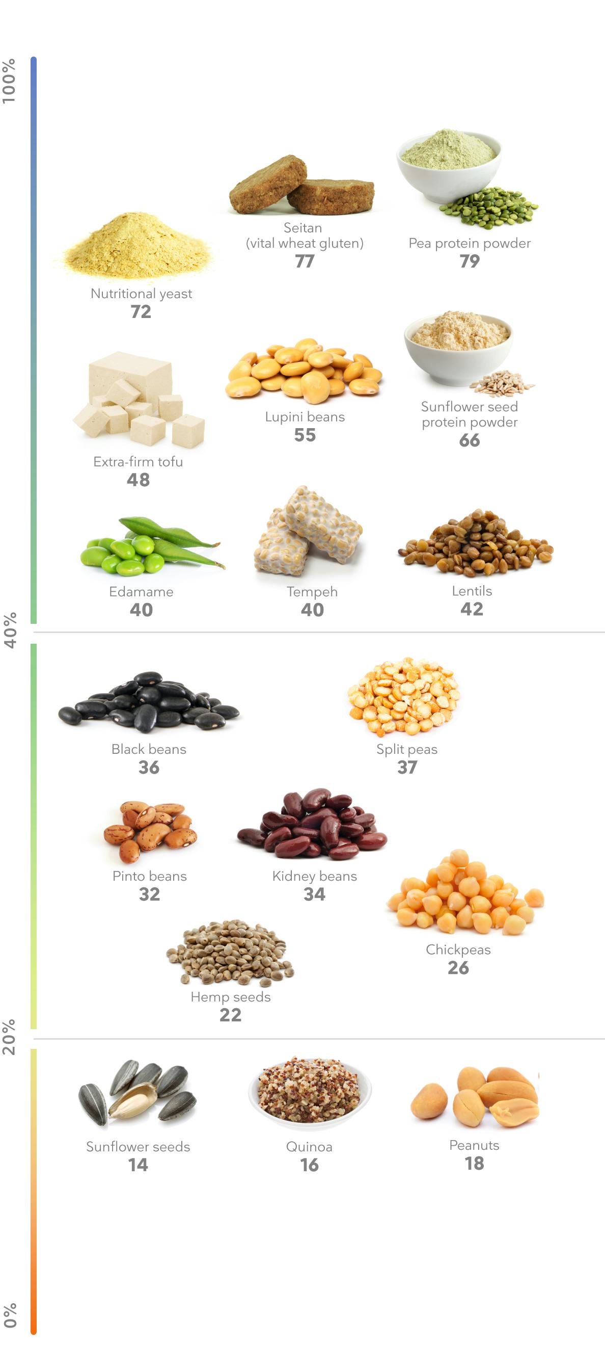Visual_Plant protein foods_mobile-3