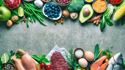 Plant protein vs. animal protein: Which one is healthier for you?
