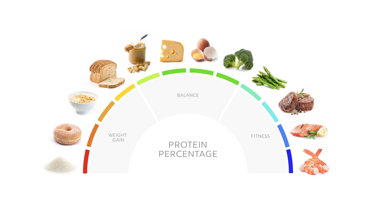 High protein diet: What it is and how to do it