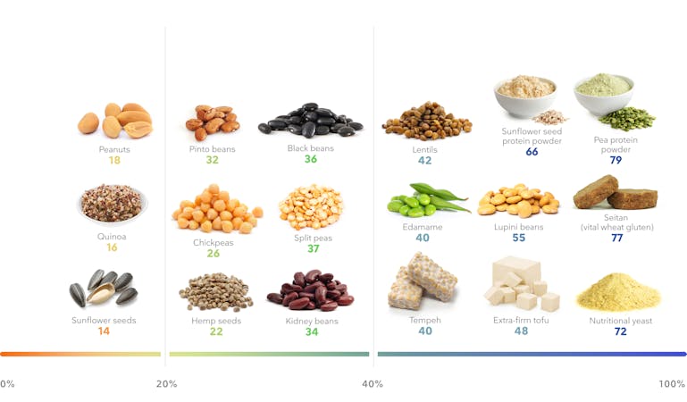_Desktop - Plant protein foods