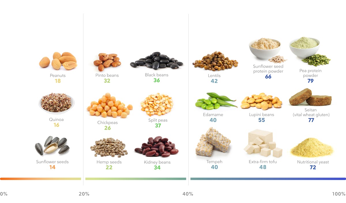 _Desktop – Plant protein foods