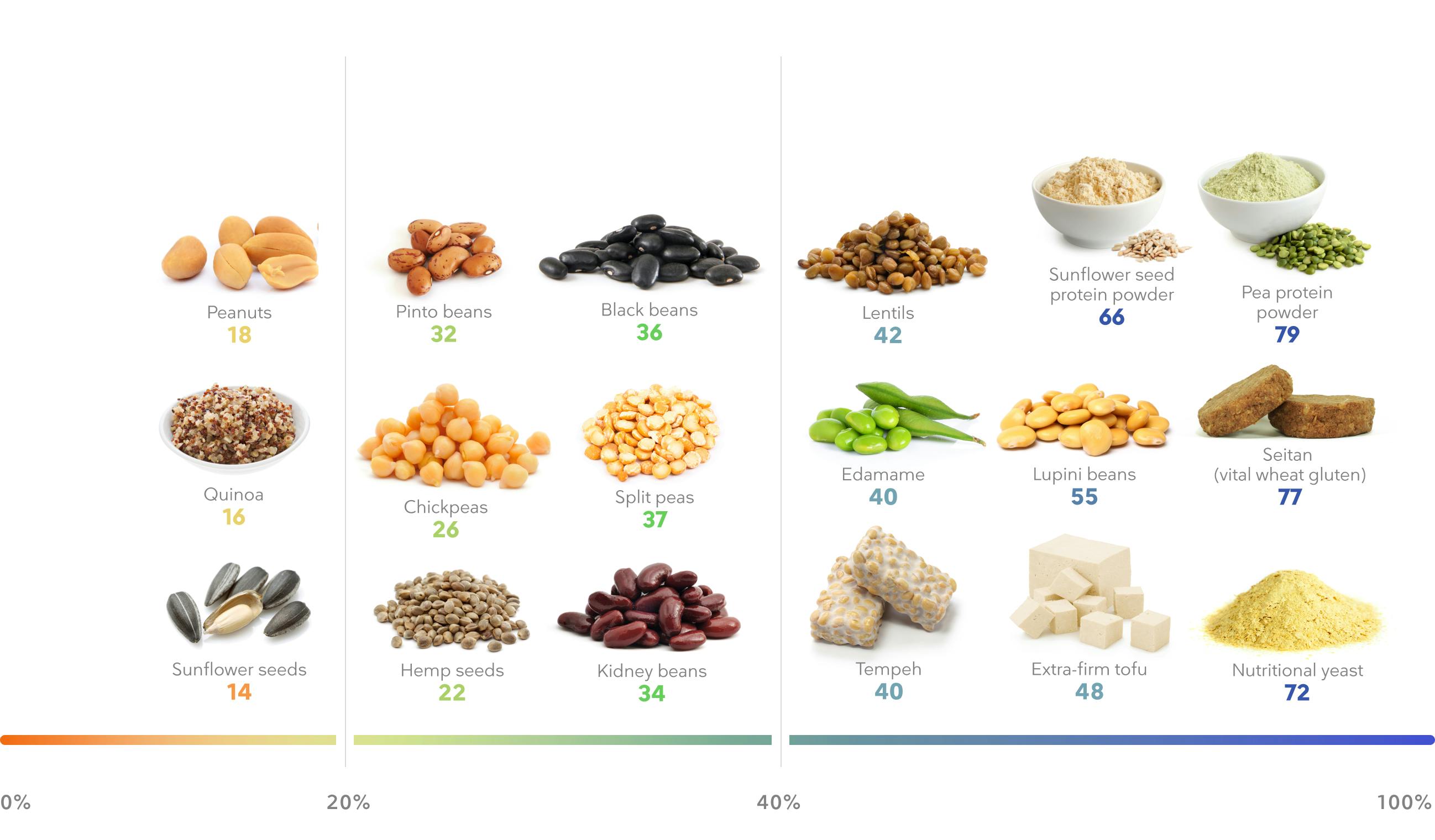 High-protein plant-based diet