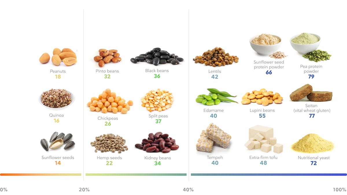 The best plant-based high-protein foods for weight loss