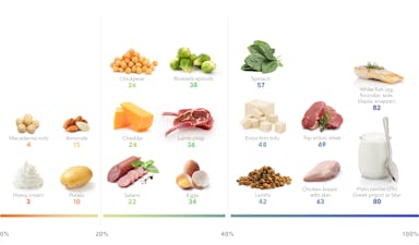 The best high protein foods for weight loss