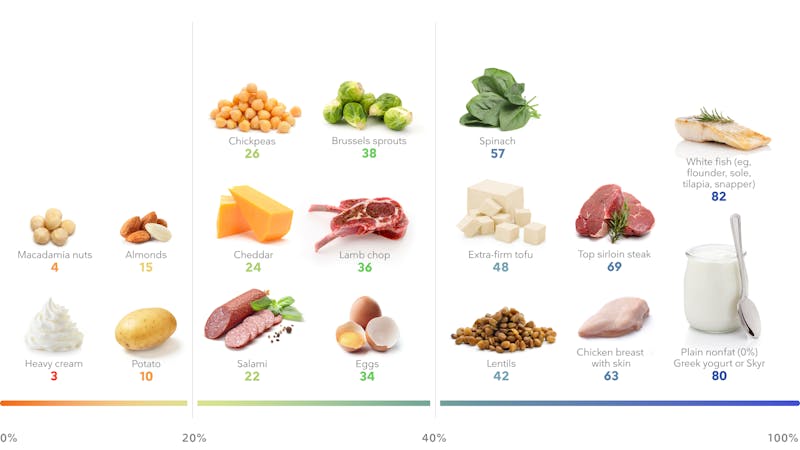 桌面-最佳高蛋白食品减肥