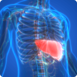 ketosis-improve-fatty-liver