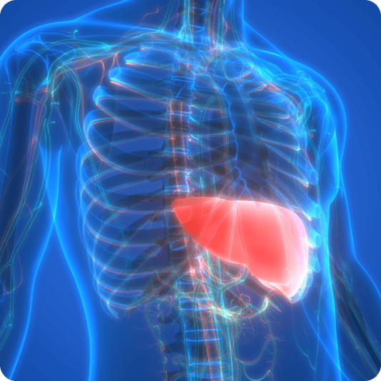 A Ketogenic Diet for Beginners: The #1 Keto Guide - Diet Doctor