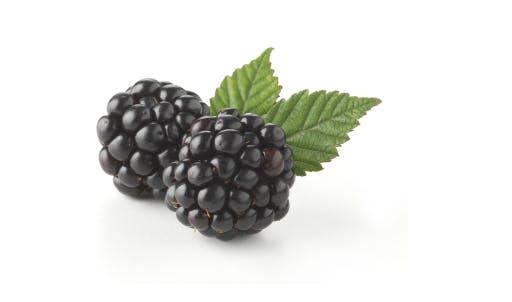 Blackberries