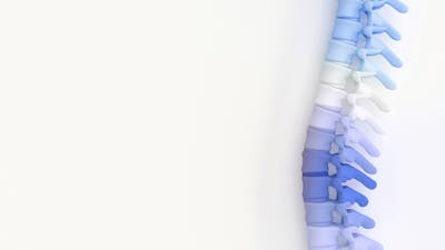 Benefits of higher protein