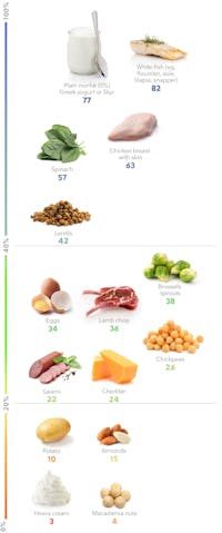 The Best High-Protein Foods for Weight Loss – Diet Doctor