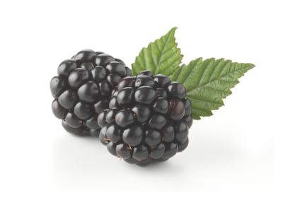 blackberries