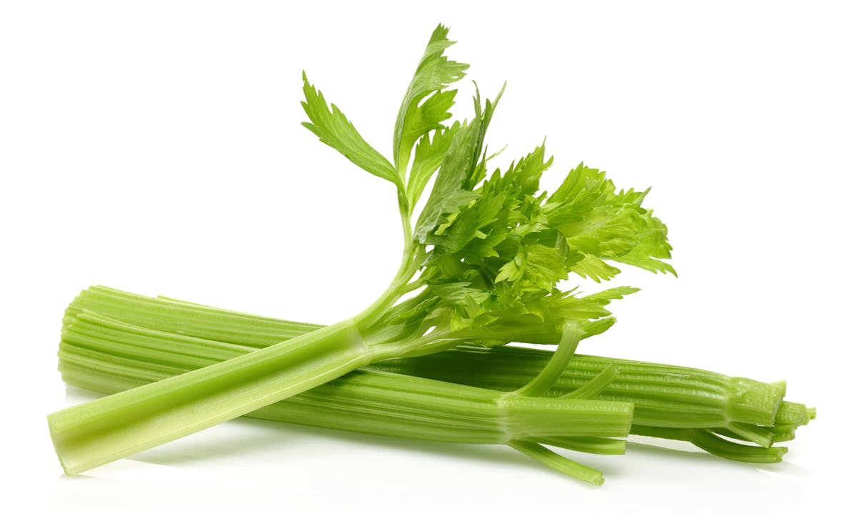 celery-stalk