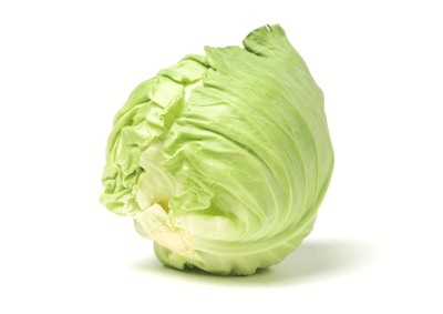 cabbage