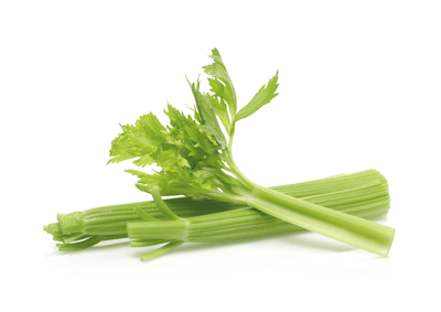 celery-veggies