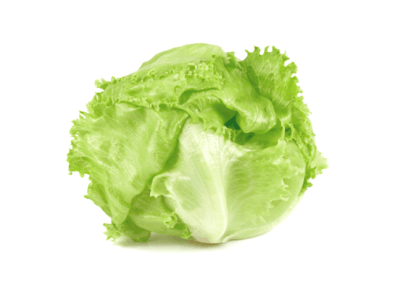 iceberg lettuce