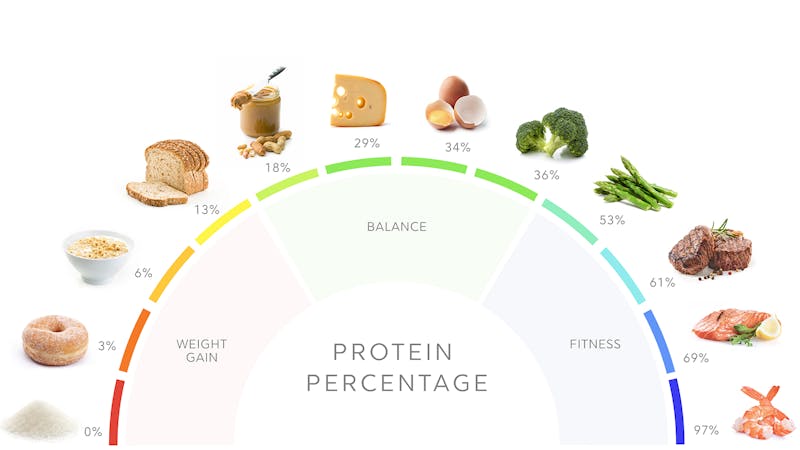 protein-percentage