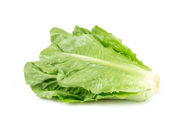 Lettuce
