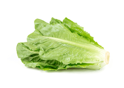 romaine lettuce