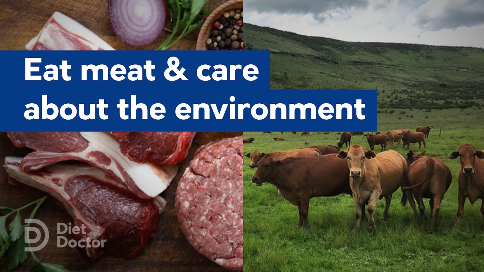 How to eat meat and still care about the environment Diet Doctor