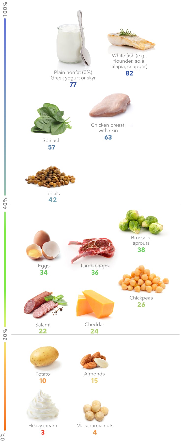 protein foods list