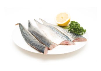 hse-mackerel