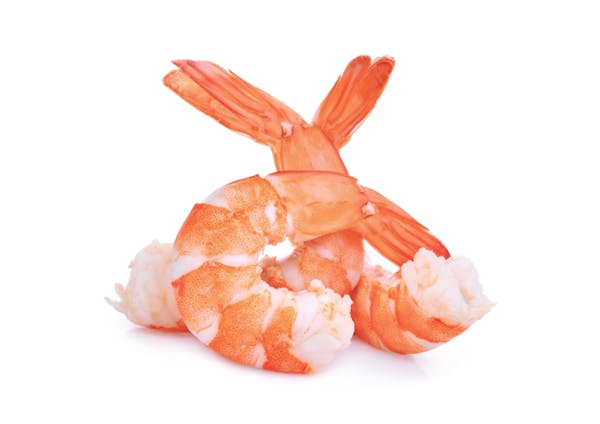 hse-shrimps