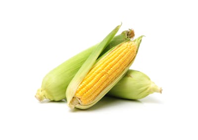 Corn
