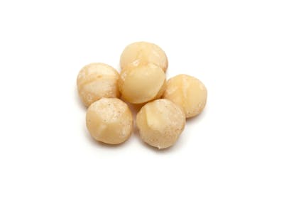 Macadamia nuts