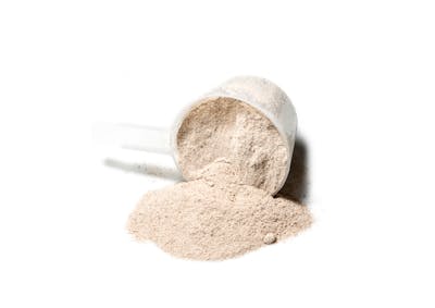 plant protein powder